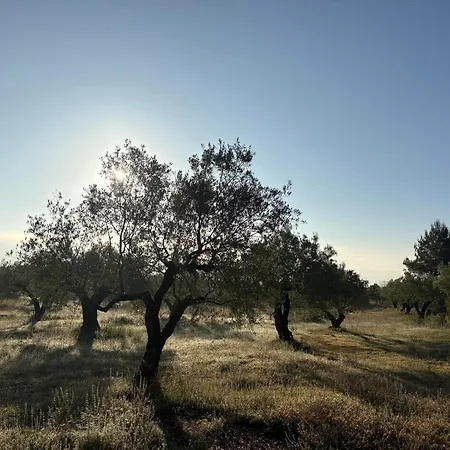 Tivissa