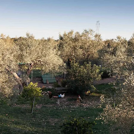 Tivissa