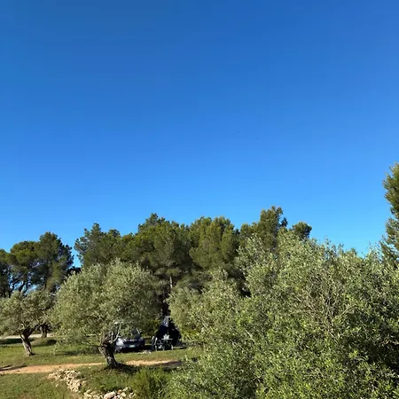 Apartament Tivissa *