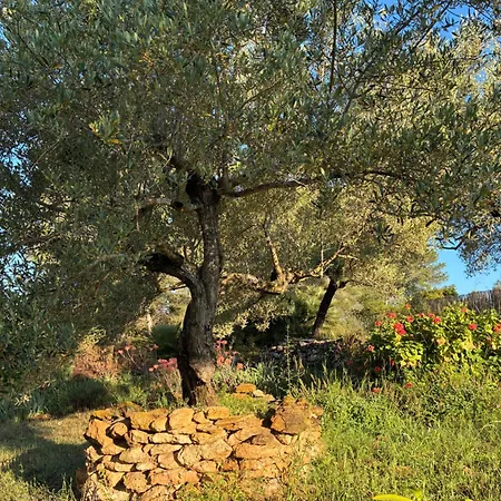 Tivissa * El Perelló